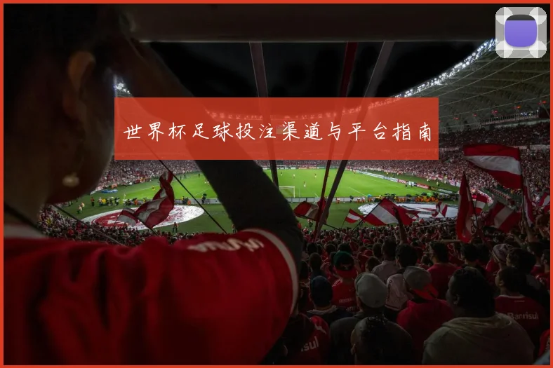 世界杯足球投注渠道与平台指南