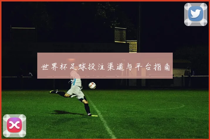 世界杯足球投注渠道与平台指南