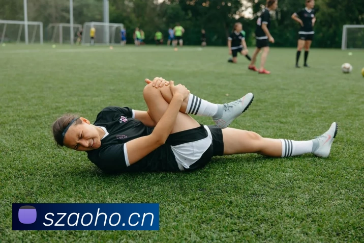 滚球官网app平台生态图